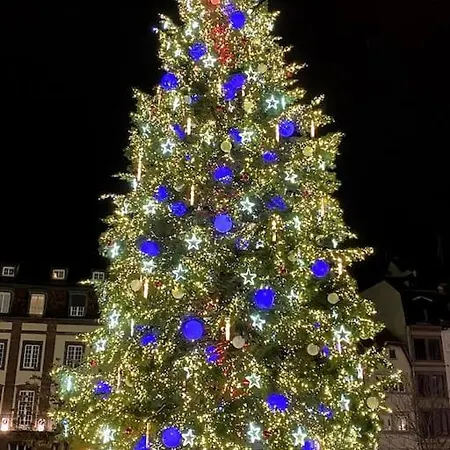 Neuf Standing - Jacuzzi A Strasbourg Apartment *